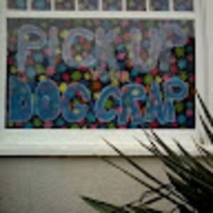 Meet your Posher, Shanene